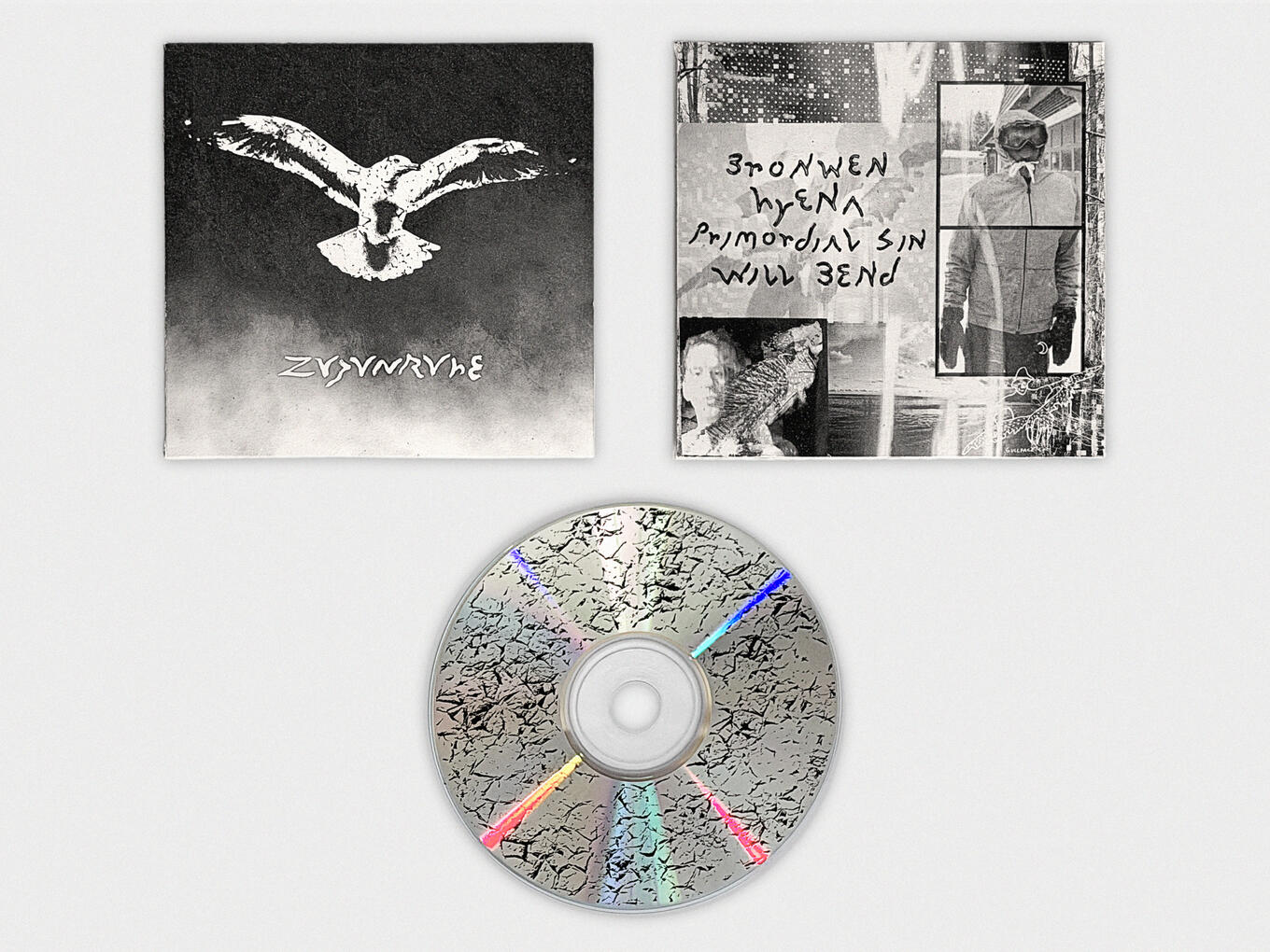 GULL - Zugunruhe